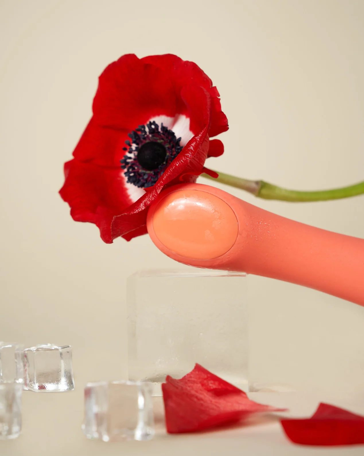 Be Icy Hot - Image 4