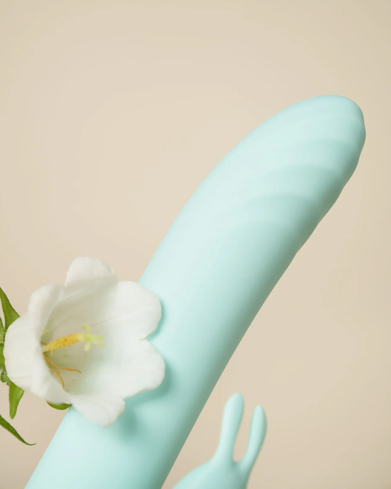 Be Playful Rabbit - Image 4