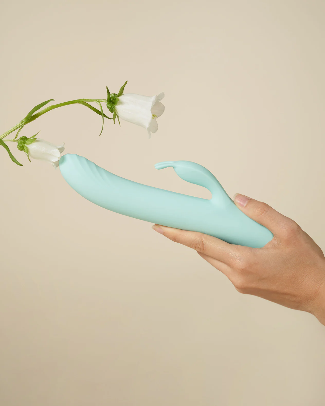 Be Playful Rabbit - Image 5