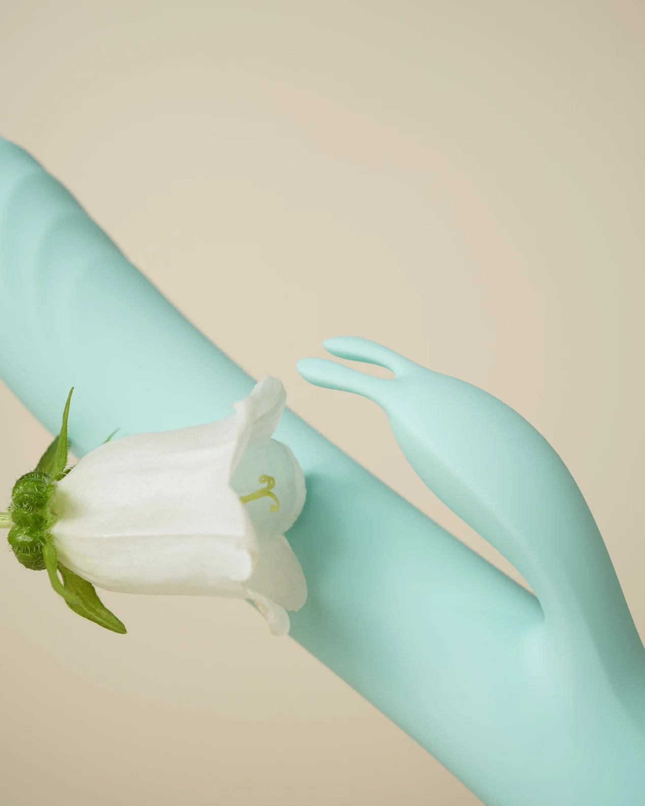 Be Playful Rabbit - Image 6